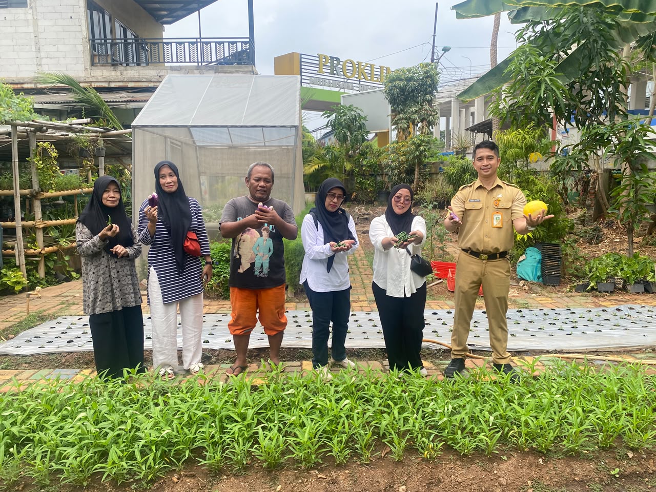 Panen Bersama di Tiga Lokasi, Pegangsaan Dua Perkuat Ketahanan Pangan melalui Urban Farming 2