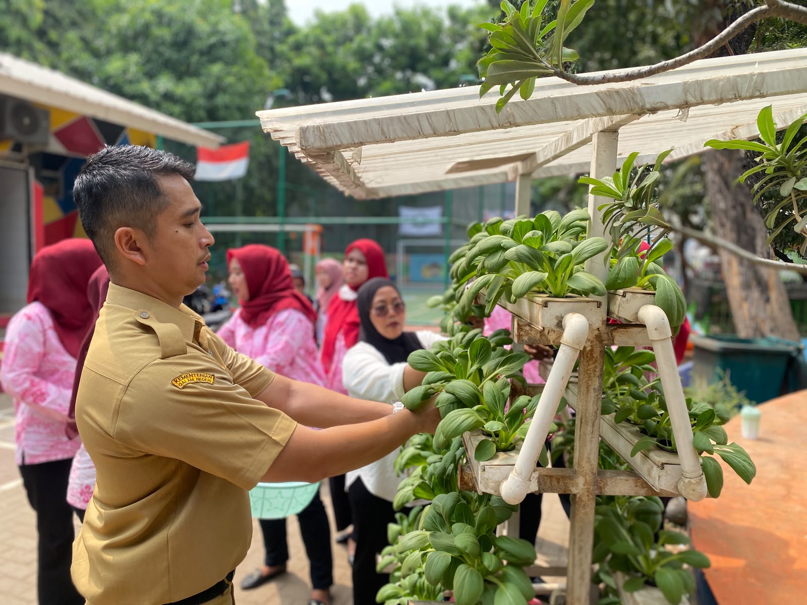 Panen Bersama di Tiga Lokasi, Pegangsaan Dua Perkuat Ketahanan Pangan melalui Urban Farming 3