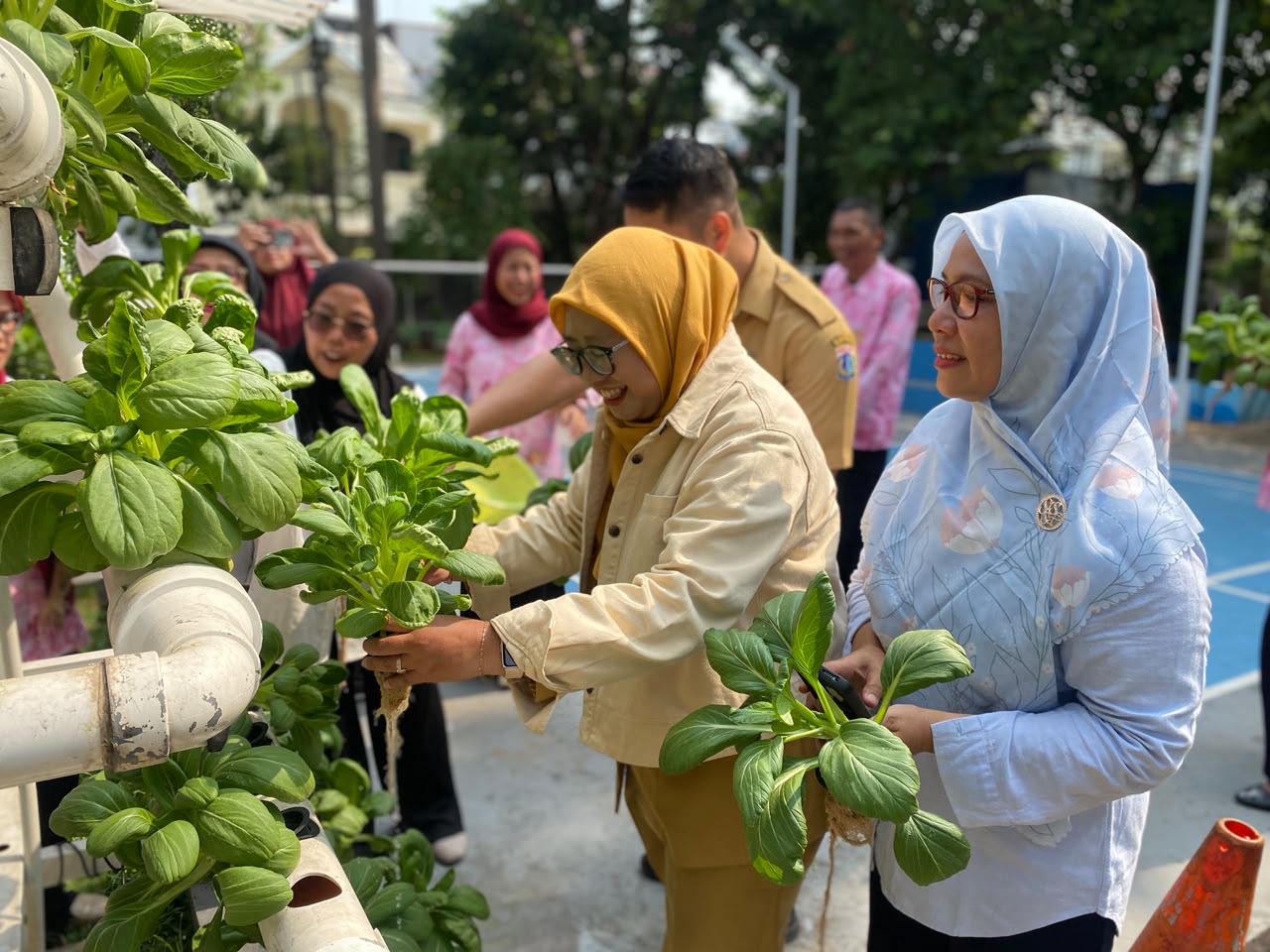 Panen Bersama di Tiga Lokasi, Pegangsaan Dua Perkuat Ketahanan Pangan melalui Urban Farming 4