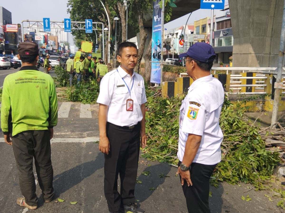 Sekretaris Kelurahan Kelapa Gading Timur Monitoring Pengecatan Kanstin dan Penebangan Pohon di Jalan Boulevard Selatan 5
