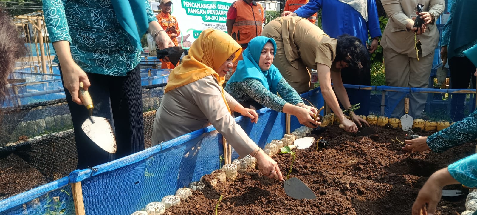 Kelurahan Kelapa Gading Timur Ikuti Pencanangan Gerakan Tanam Serentak Tanaman Pangan Pendamping Beras 6