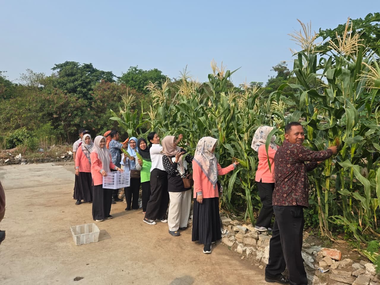 Dari Lahan Terbatas Jadi Lahan Produktif, Kebun Cempaka RW 03 Sukses Gelar Panen Raya 2