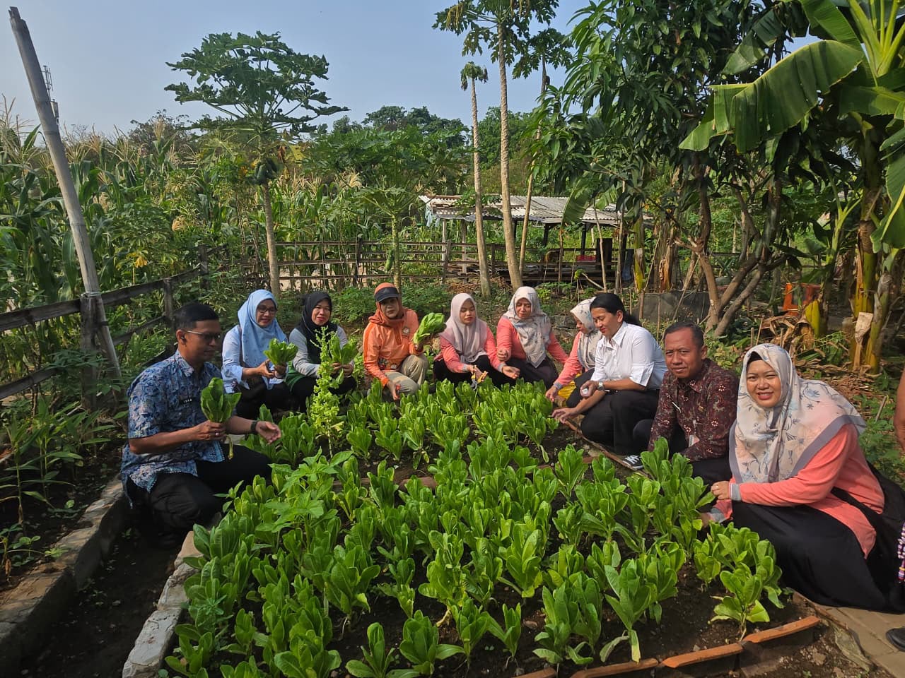 Dari Lahan Terbatas Jadi Lahan Produktif, Kebun Cempaka RW 03 Sukses Gelar Panen Raya 3
