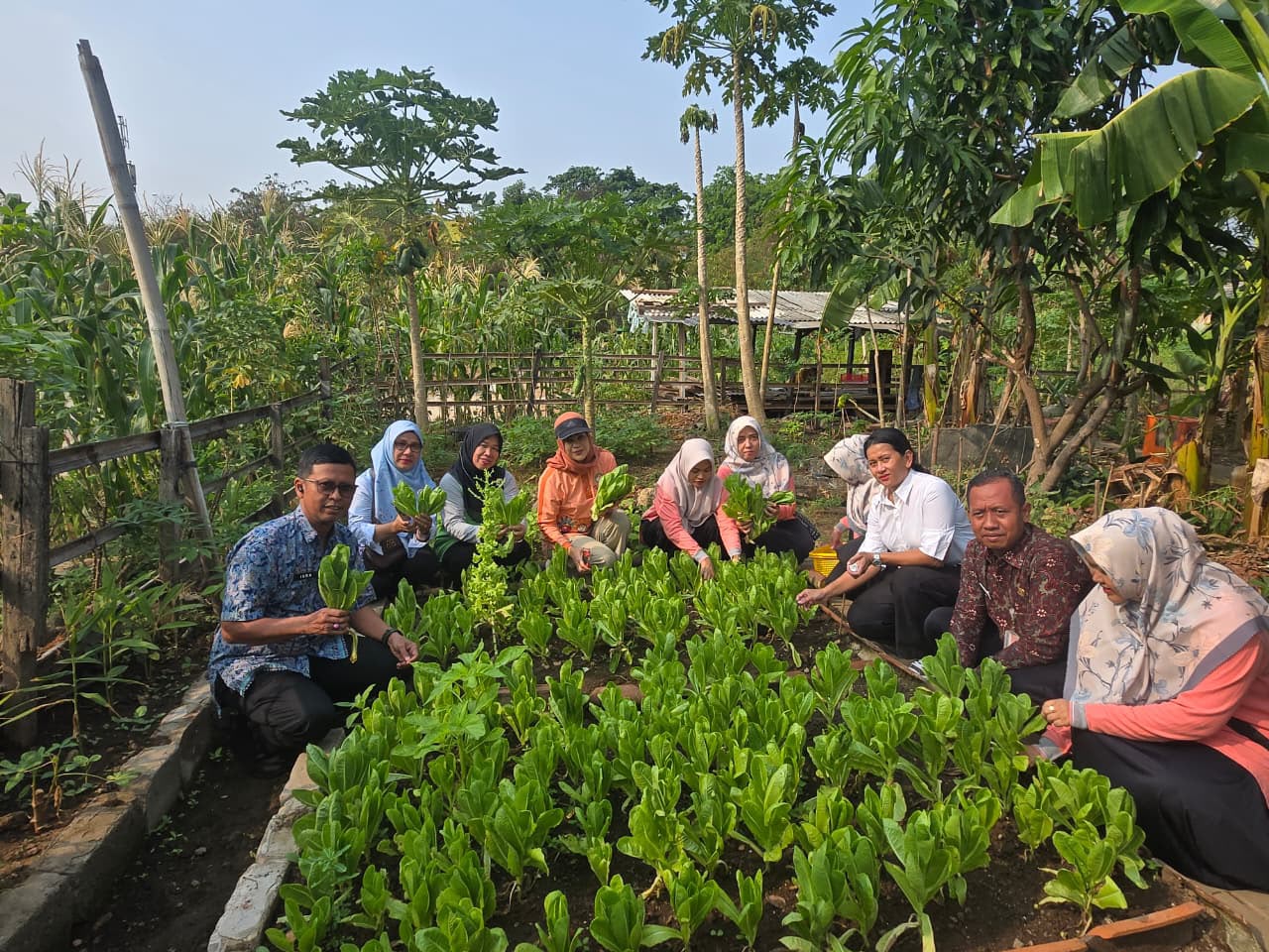 Dari Lahan Terbatas Jadi Lahan Produktif, Kebun Cempaka RW 03 Sukses Gelar Panen Raya 5