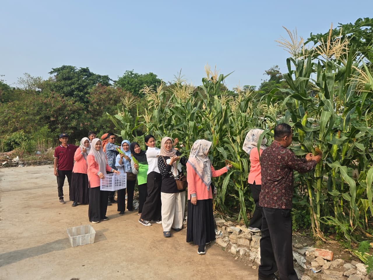 Dari Lahan Terbatas Jadi Lahan Produktif, Kebun Cempaka RW 03 Sukses Gelar Panen Raya 1