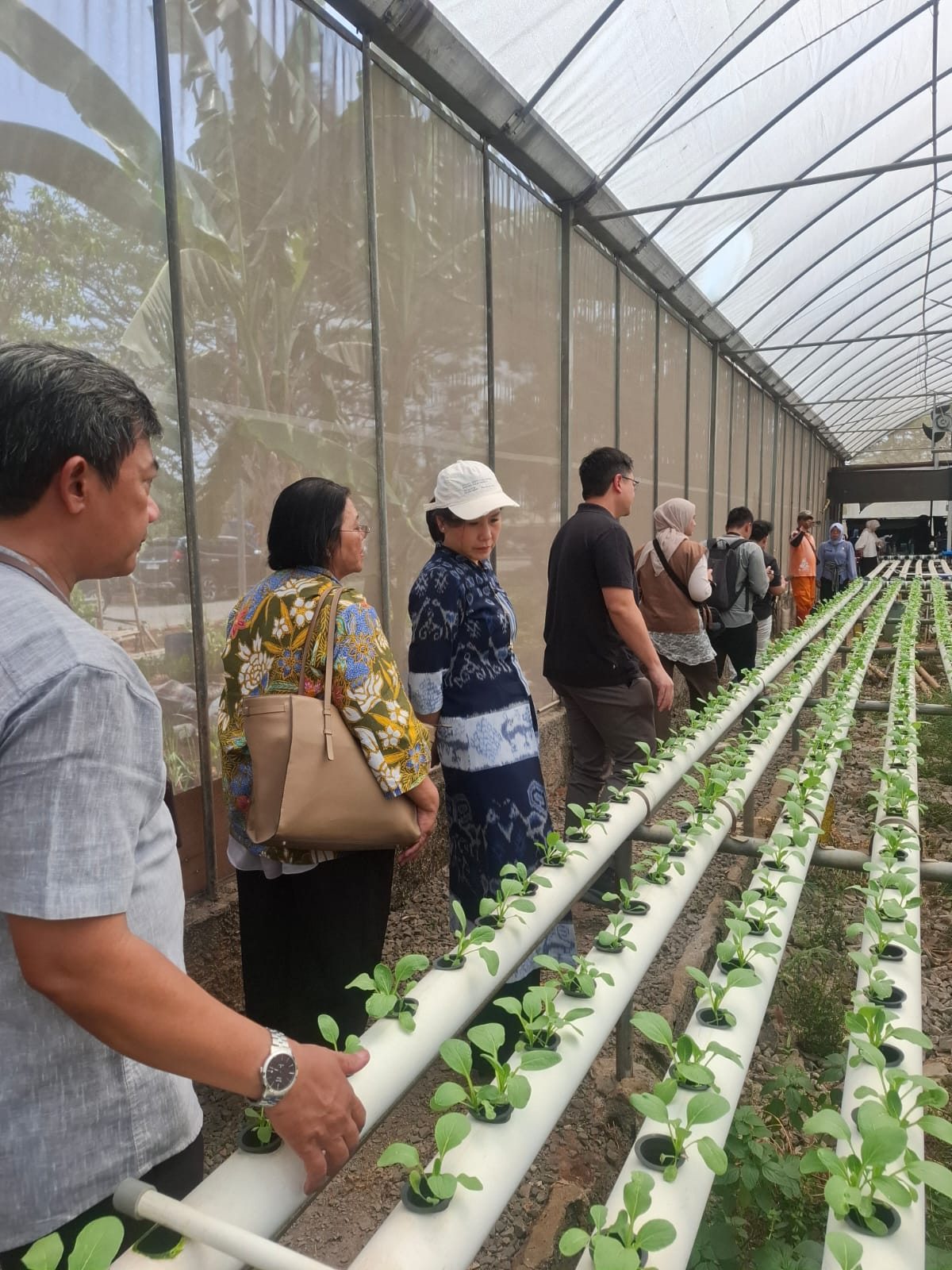 DORONG EKONOMI PEREMPUAN: WAMEN PPPA IBU VERONICA TAN MENINJAU HIDROPONIK RUSUN MARUNDA DAN SOLAR DRAYER DOME KALIBARU 5