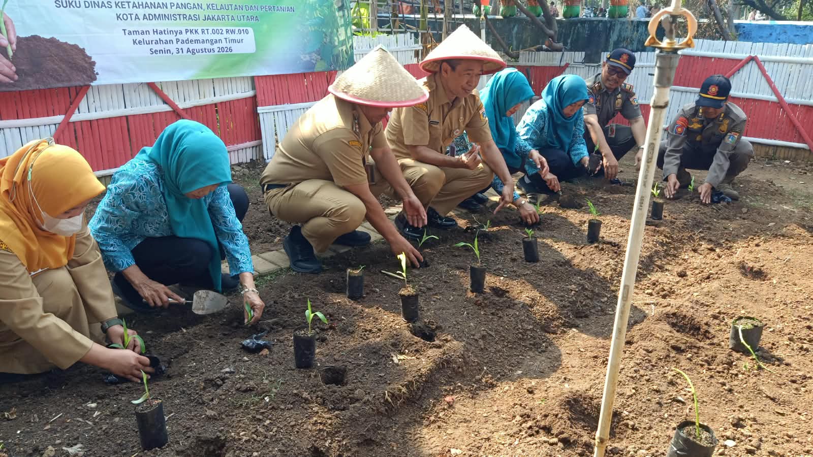 Gerakan Tanam Serentak Tanaman Pendamping Beras di Kecamatan Pademangan 2