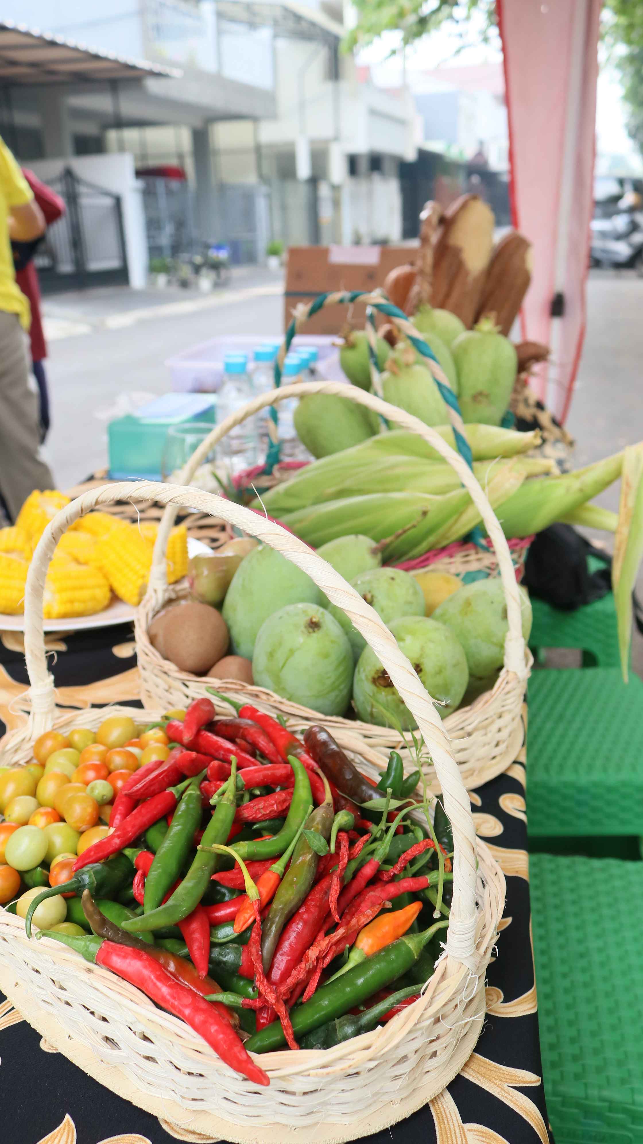Panen Jagung dan Pisang di Kebun Lemon Grass RW 12 Kelapa Gading Barat 3