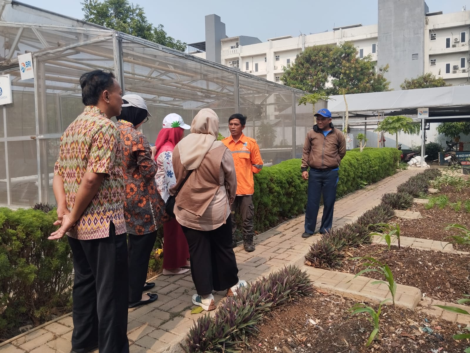 Peninjauan Urban Farming Kebun Pegangsaan Dua Menanam (Gangnam) 5