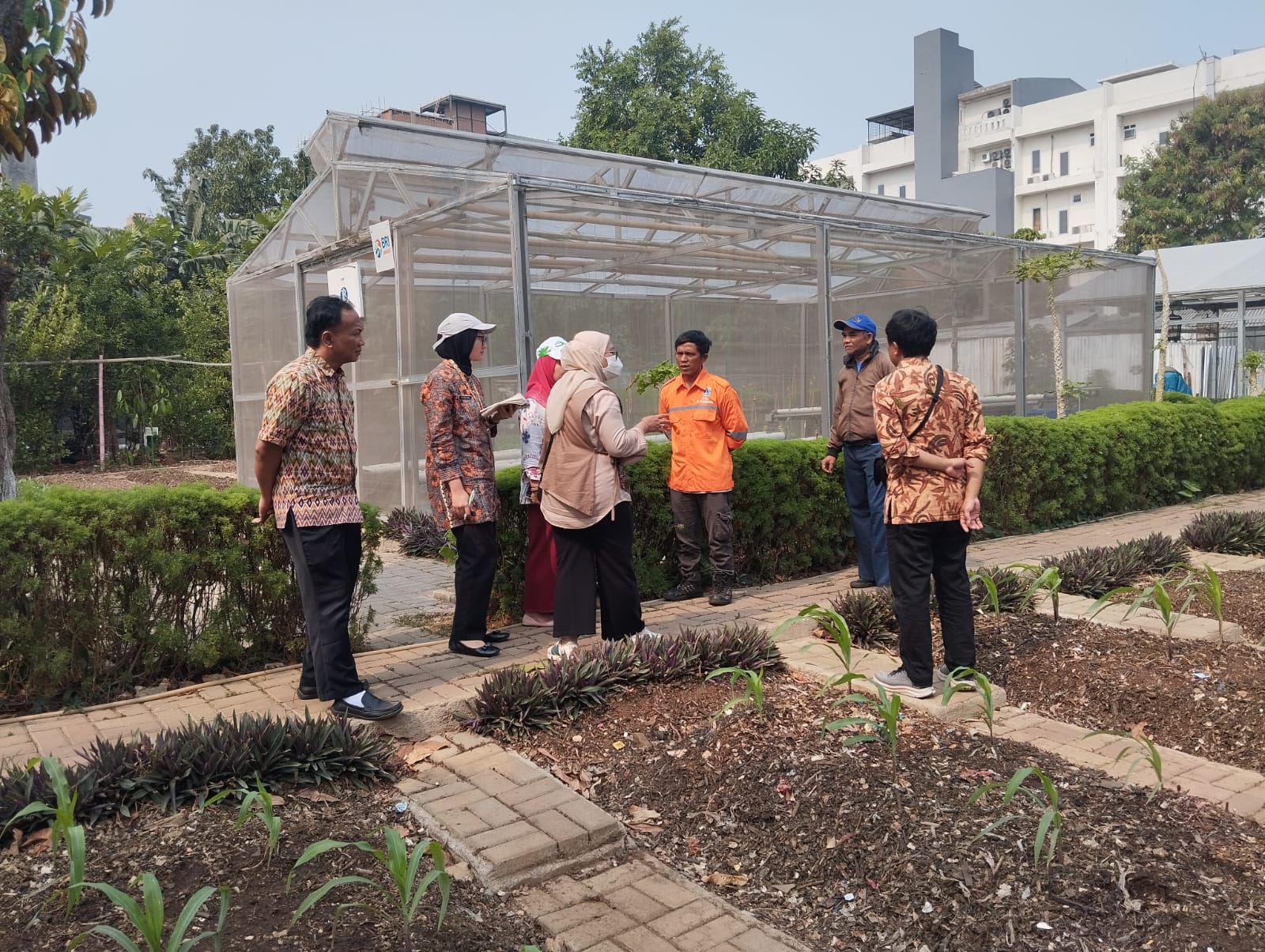 Peninjauan Urban Farming Kebun Pegangsaan Dua Menanam (Gangnam) 6