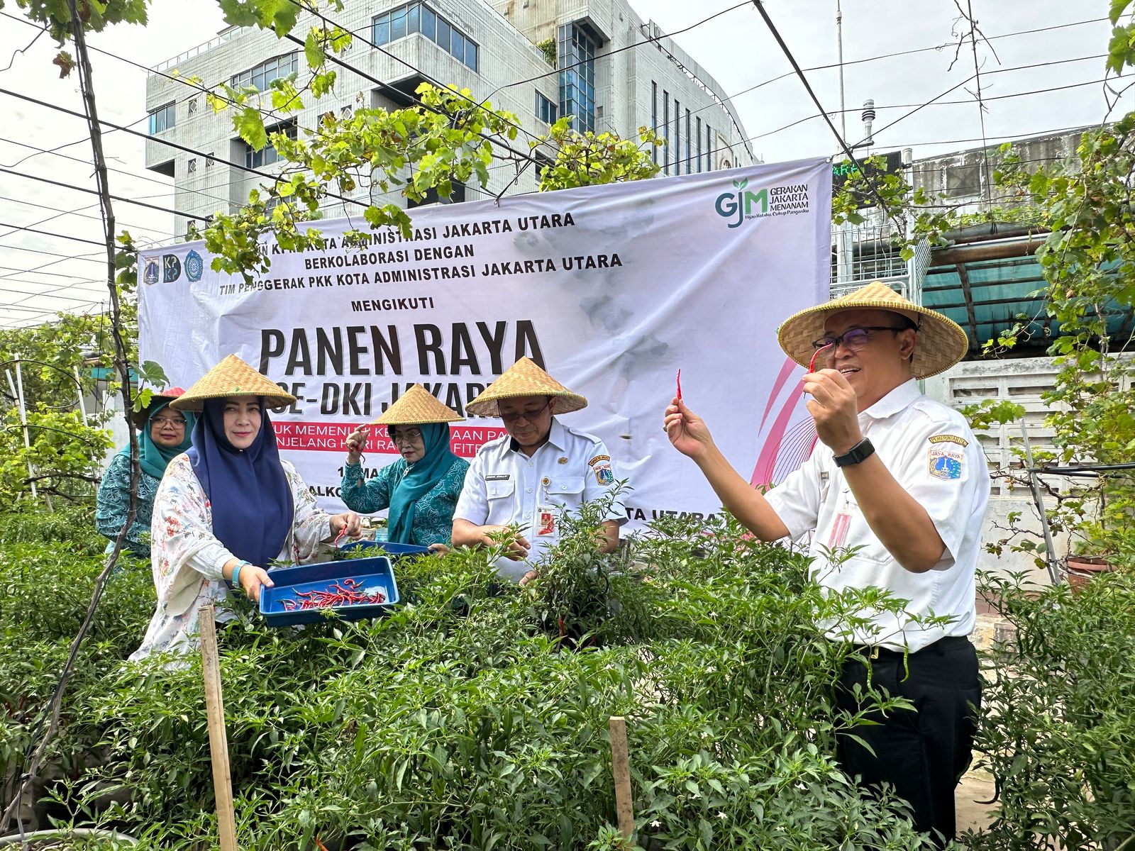Panen Raya Se DKI Jakarta di Rooftop Urban Farming 2