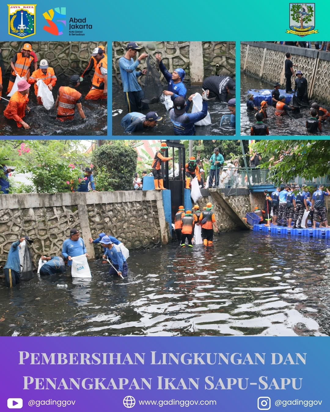 "Warga Kelapa Gading Bergerak! Berburu Ikan Sapu-sapu Demi Selamatkan Ekosistem Kali" 5