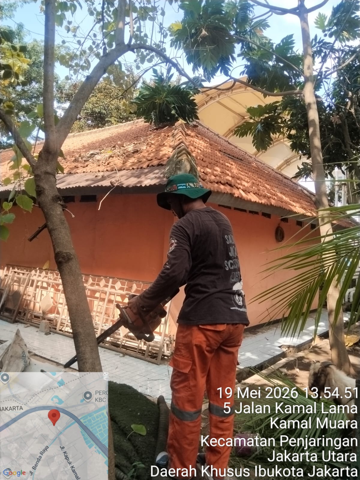 PPSU Kamal Muara Percantik Lingkungan Kantor Kelurahan Lewat Perapihan Pohon dan Pembersihan Daun Kering 6