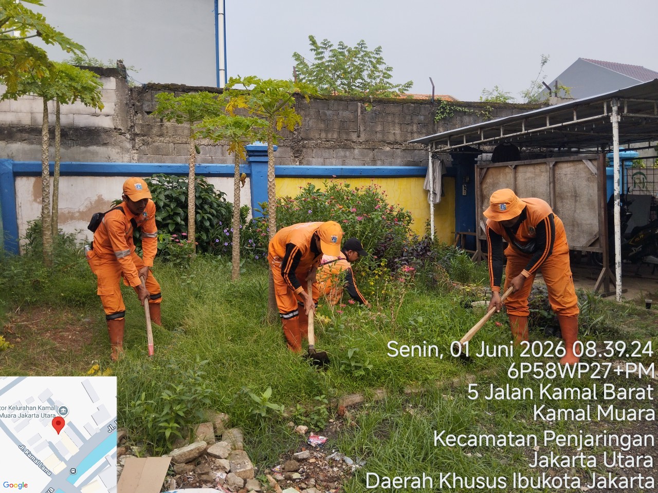 PPSU Kamal Muara Perkuat Penghijauan Wilayah Melalui Penataan Area Pembibitan Tanaman 5