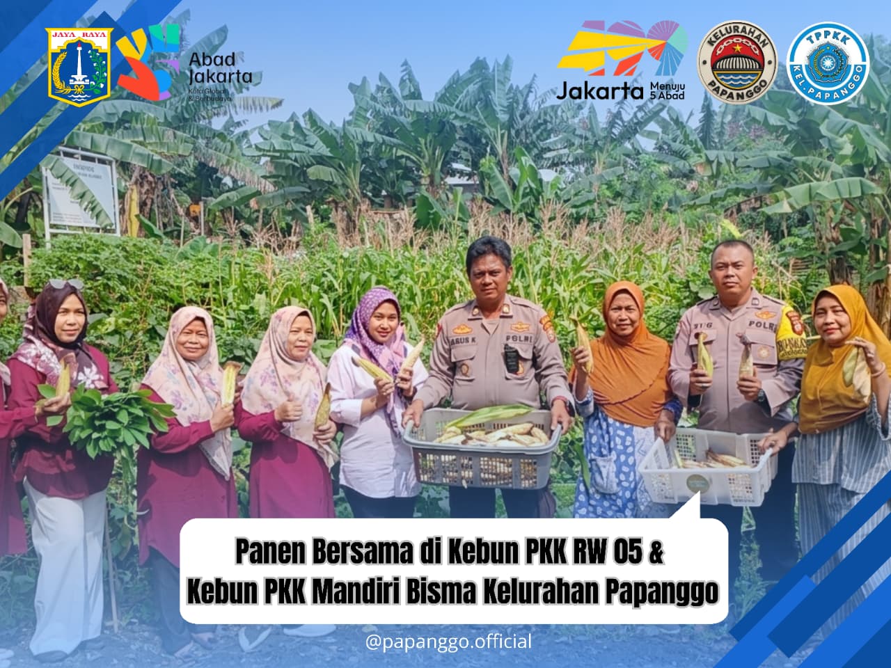 Ketua TP PKK Kelurahan Papanggo Monitoring dan Panen Hasil Kebun Produktif di RW 05 dan Mandiri Bisma 8