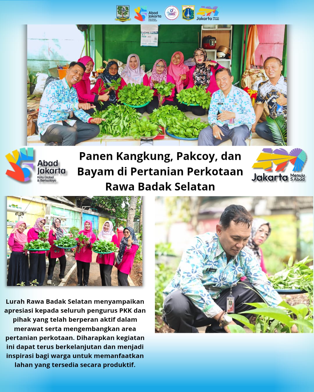 Panen Kangkung, Pakcoy, dan Bayam Perkuat Ketahanan Pangan di Rawa Badak Selatan 7