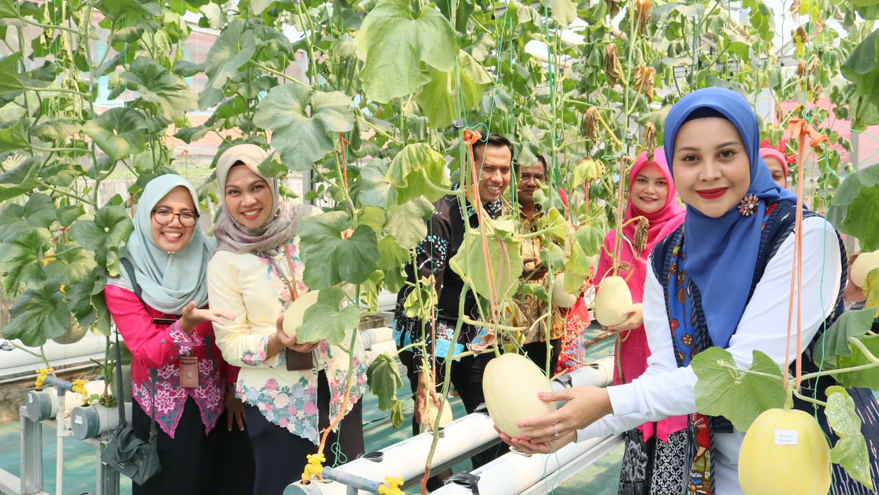 Wisata Petik Melon Kebun Gangnam Bersama Ketua TP PKK Kota Administrasi Jakarta Utara 3