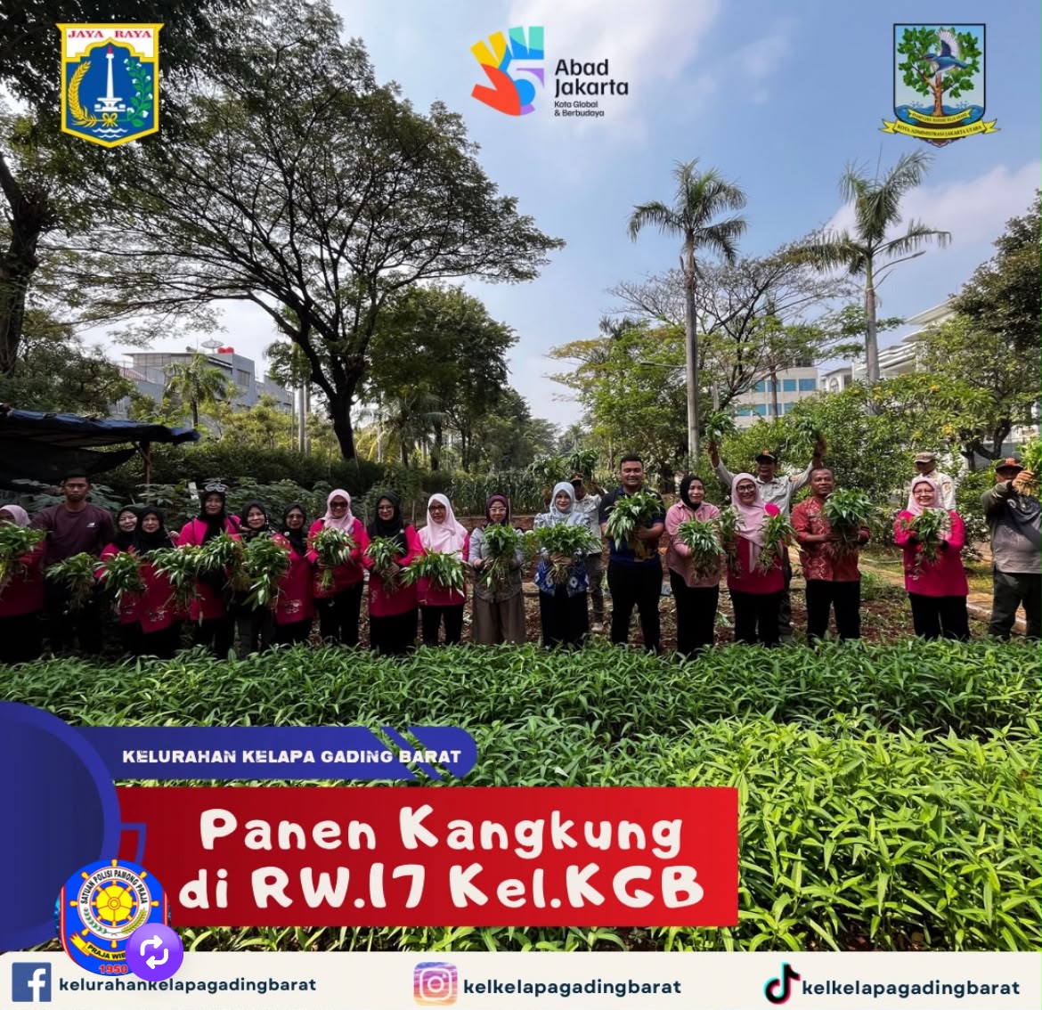 Panen Kangkung di RW.17 Kelurahan Kelapa Gading Barat 1