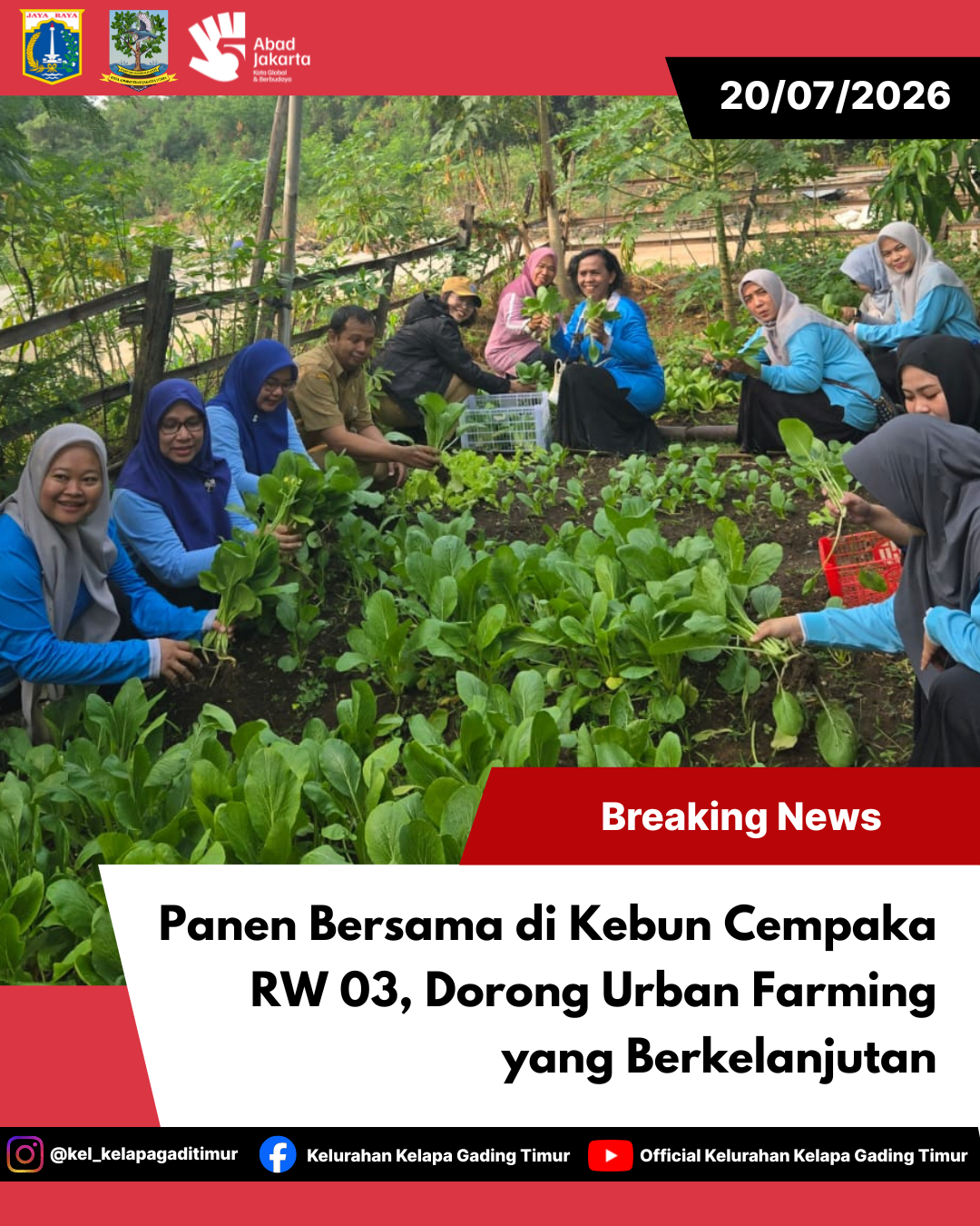 Panen Sawi dan Kacang Tanah di Kebun Cempaka RW 03 Wujudkan Ketahanan Pangan Berbasis Masyarakat 5