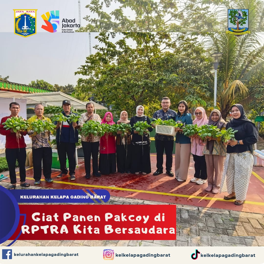Panen Pakcoy di RPTRA Kita Bersaudara 1