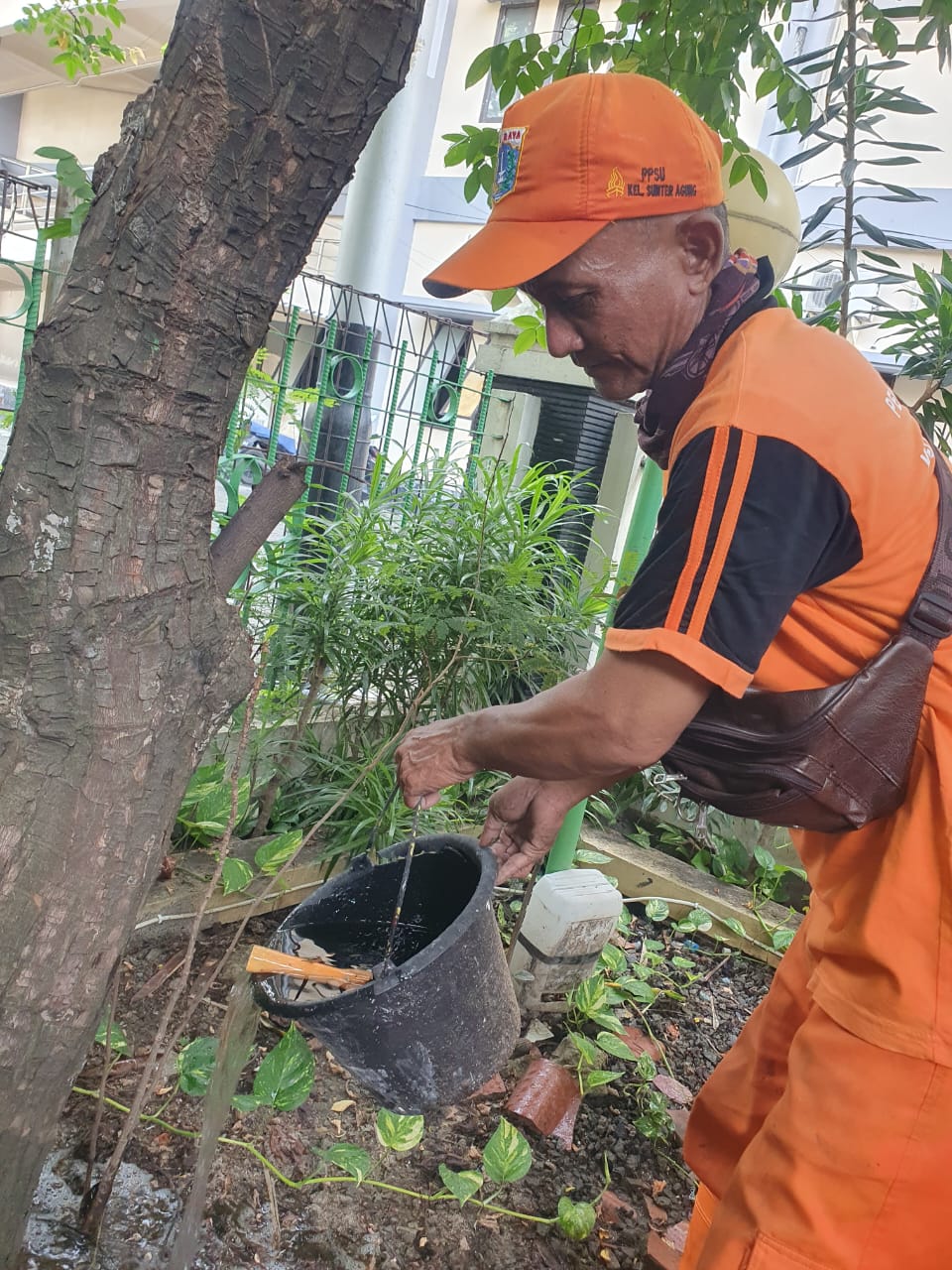 Pemberantasan Sarang Nyamuk (PSN) di Lingkungan Kantor Kelurahan Sunter Agung dan RPTRA 1