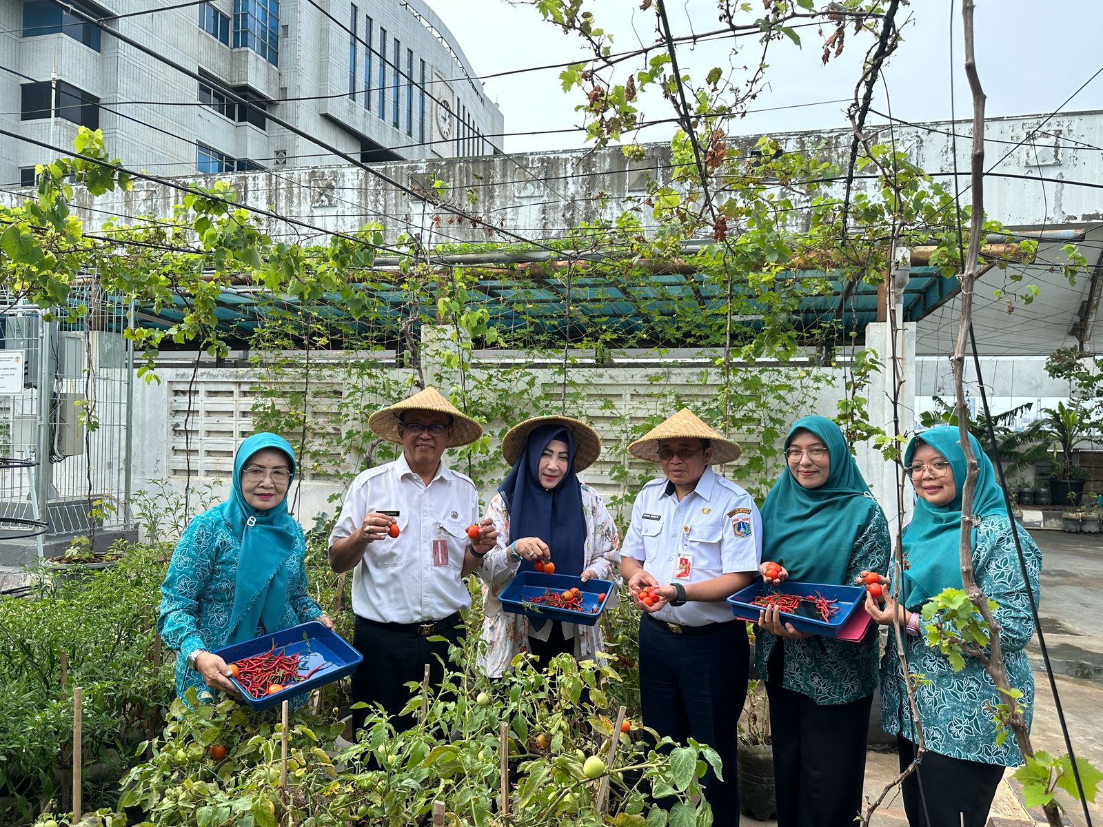 Panen Raya Se DKI Jakarta di Rooftop Urban Farming 1