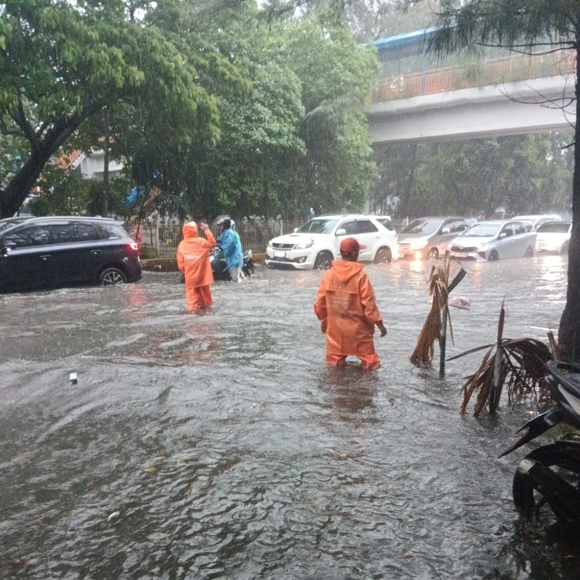 Monitoring Genangan Pasca Hujan, Lurah Penjaringan Pastikan Penanganan Cepat di Titik Rawan 7