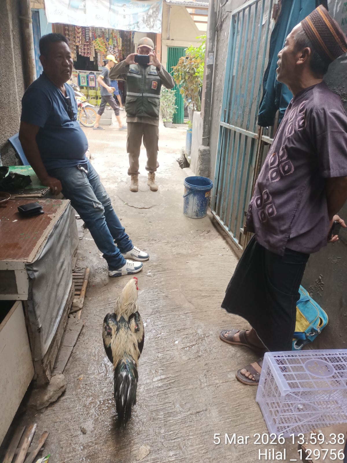Tindak Lanjut Aduan Warga, Kelurahan Penjaringan Tertibkan Pemeliharaan Ayam di Permukiman 2