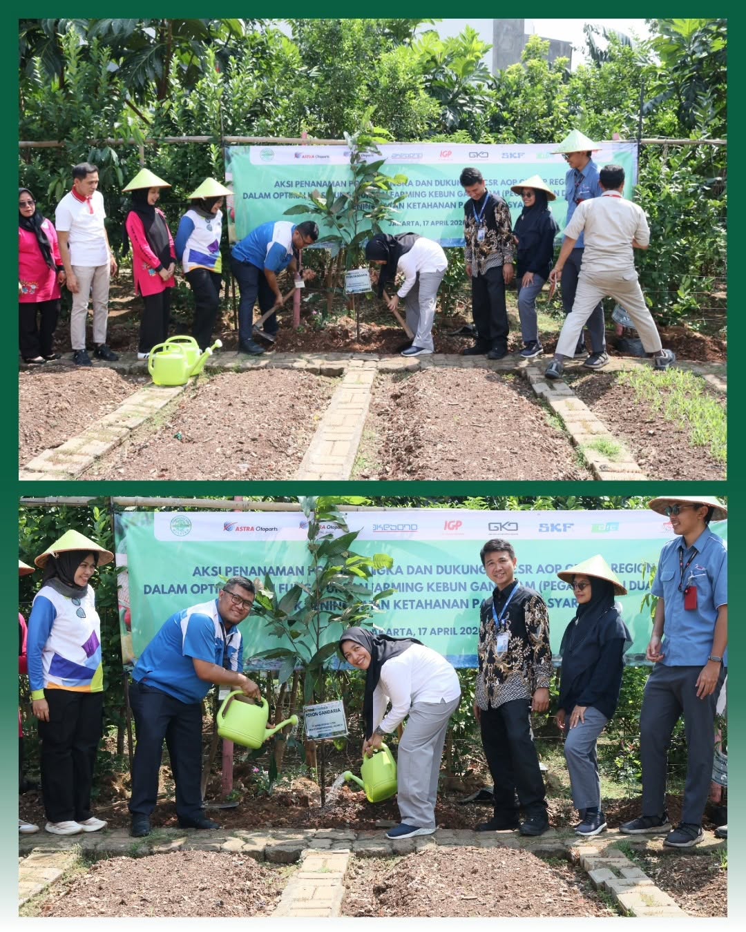 ???? Optimalisasi Fungsi Urban Farming di Kebun Gangnam ???? 1