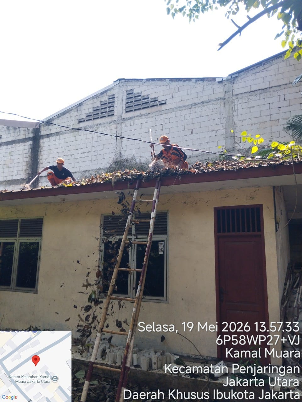 PPSU Kamal Muara Percantik Lingkungan Kantor Kelurahan Lewat Perapihan Pohon dan Pembersihan Daun Kering 1