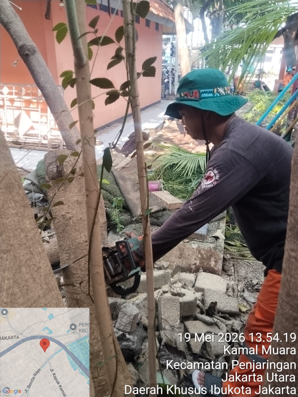 PPSU Kamal Muara Percantik Lingkungan Kantor Kelurahan Lewat Perapihan Pohon dan Pembersihan Daun Kering 2