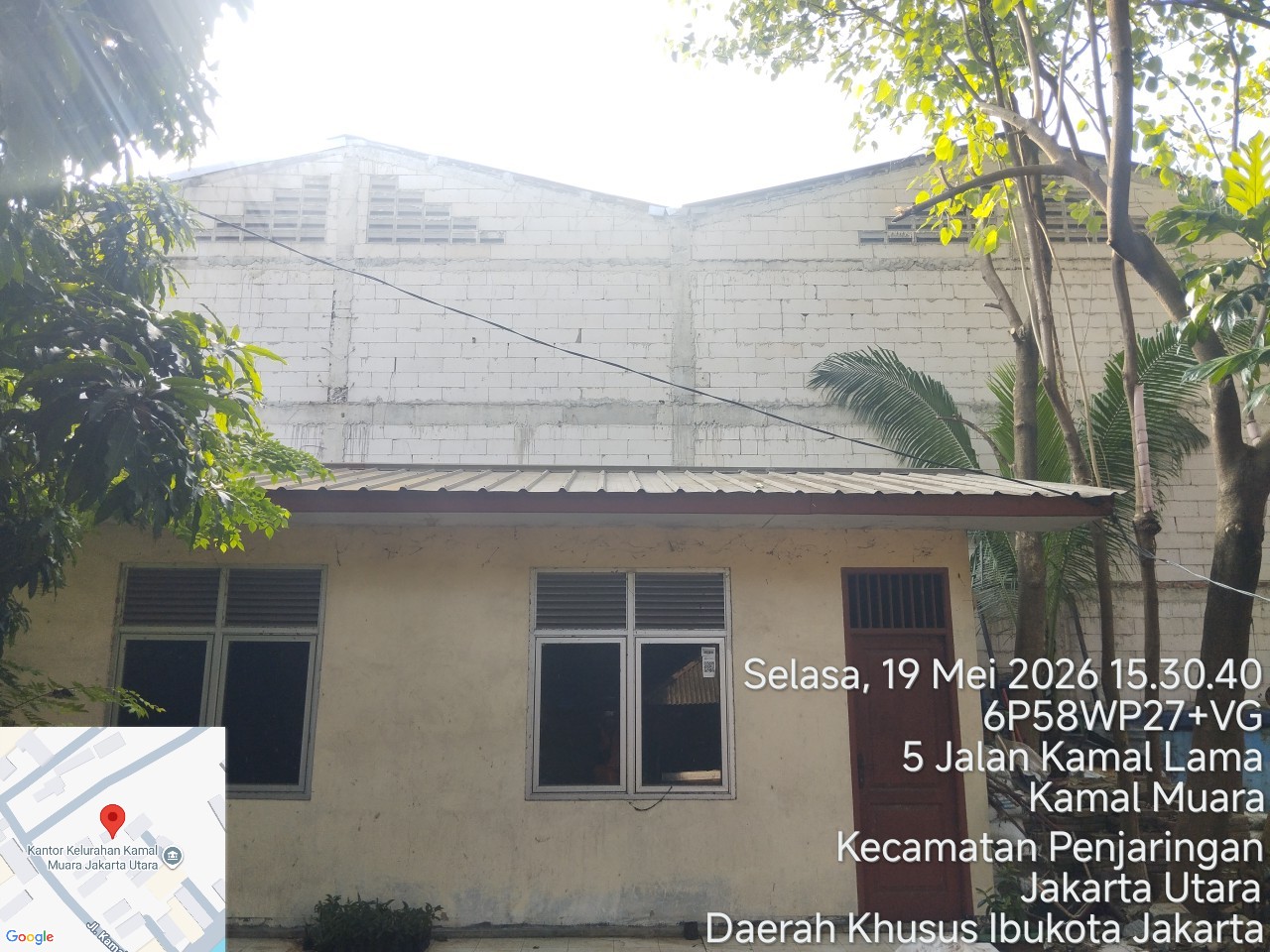 PPSU Kamal Muara Percantik Lingkungan Kantor Kelurahan Lewat Perapihan Pohon dan Pembersihan Daun Kering 5