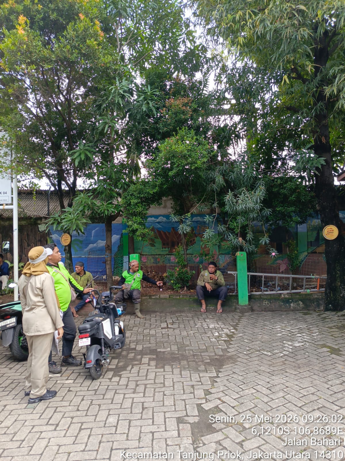 Monitoring Penopingan Pohon di Lokasi Penataan Kawasan Triwulan II RW.06 Kelurahan Tanjung Priok 1