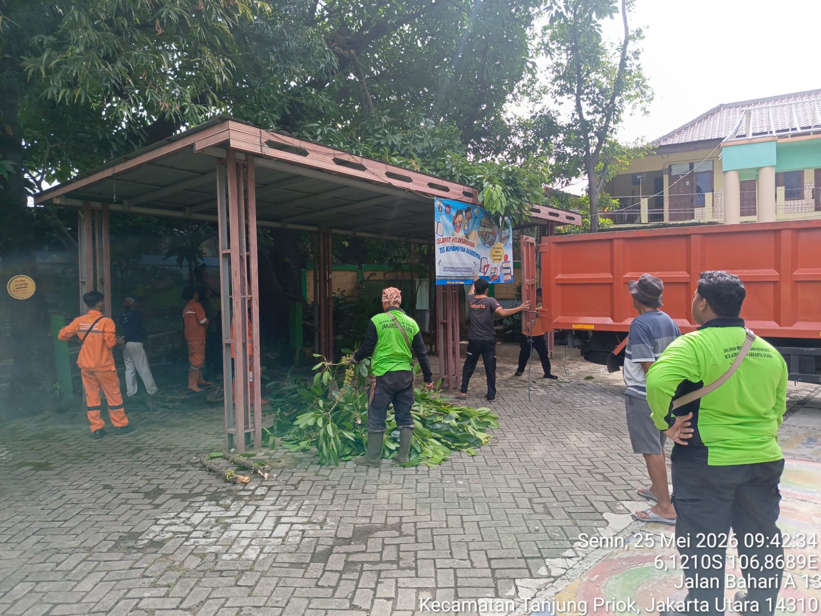 Monitoring Penopingan Pohon di Lokasi Penataan Kawasan Triwulan II RW.06 Kelurahan Tanjung Priok 4