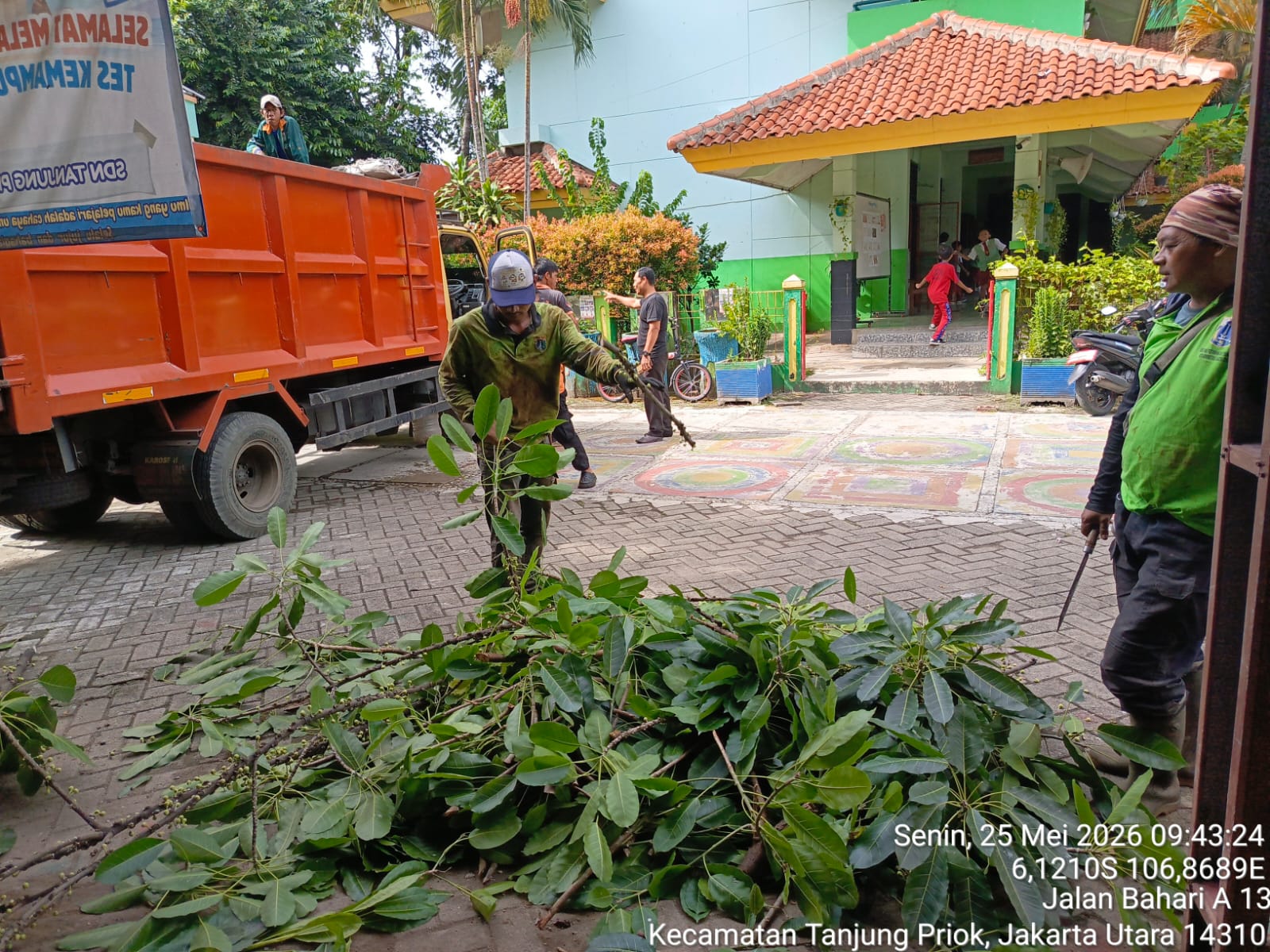 Monitoring Penopingan Pohon di Lokasi Penataan Kawasan Triwulan II RW.06 Kelurahan Tanjung Priok 3