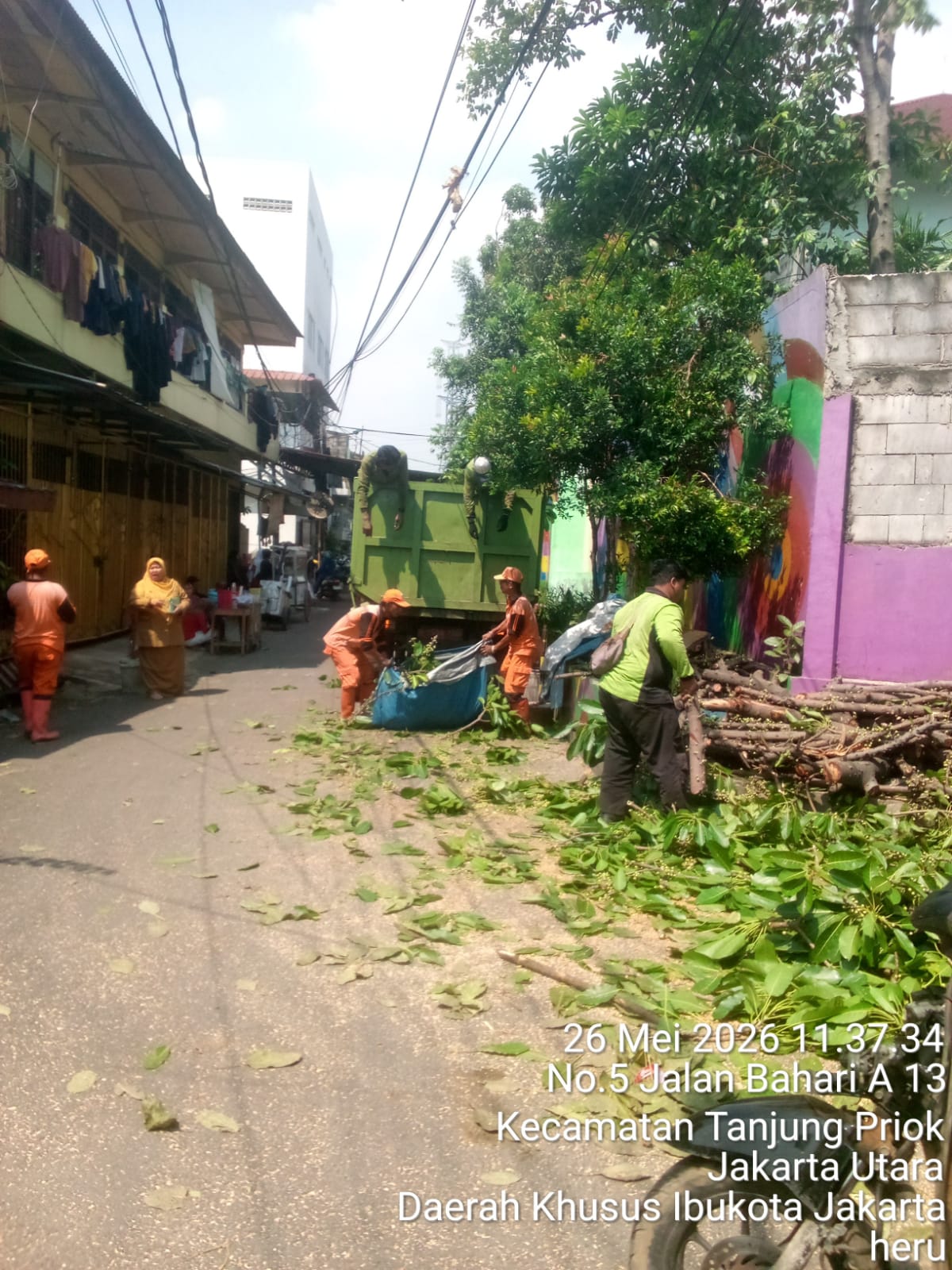 Lanjutan Penopingan Pohon di Lokasi Penataan Kawasan Triwulan II RW.06 Kelurahan Tanjung Priok 2