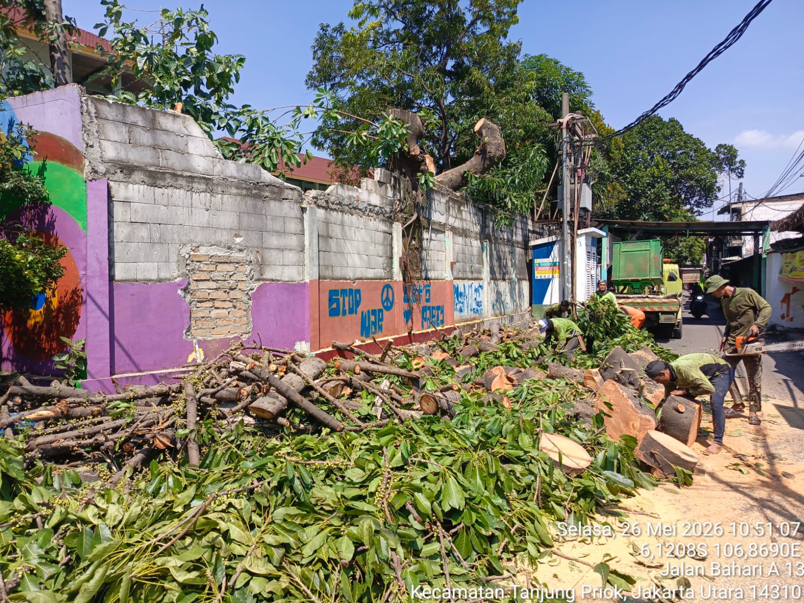 Lanjutan Penopingan Pohon di Lokasi Penataan Kawasan Triwulan II RW.06 Kelurahan Tanjung Priok 3