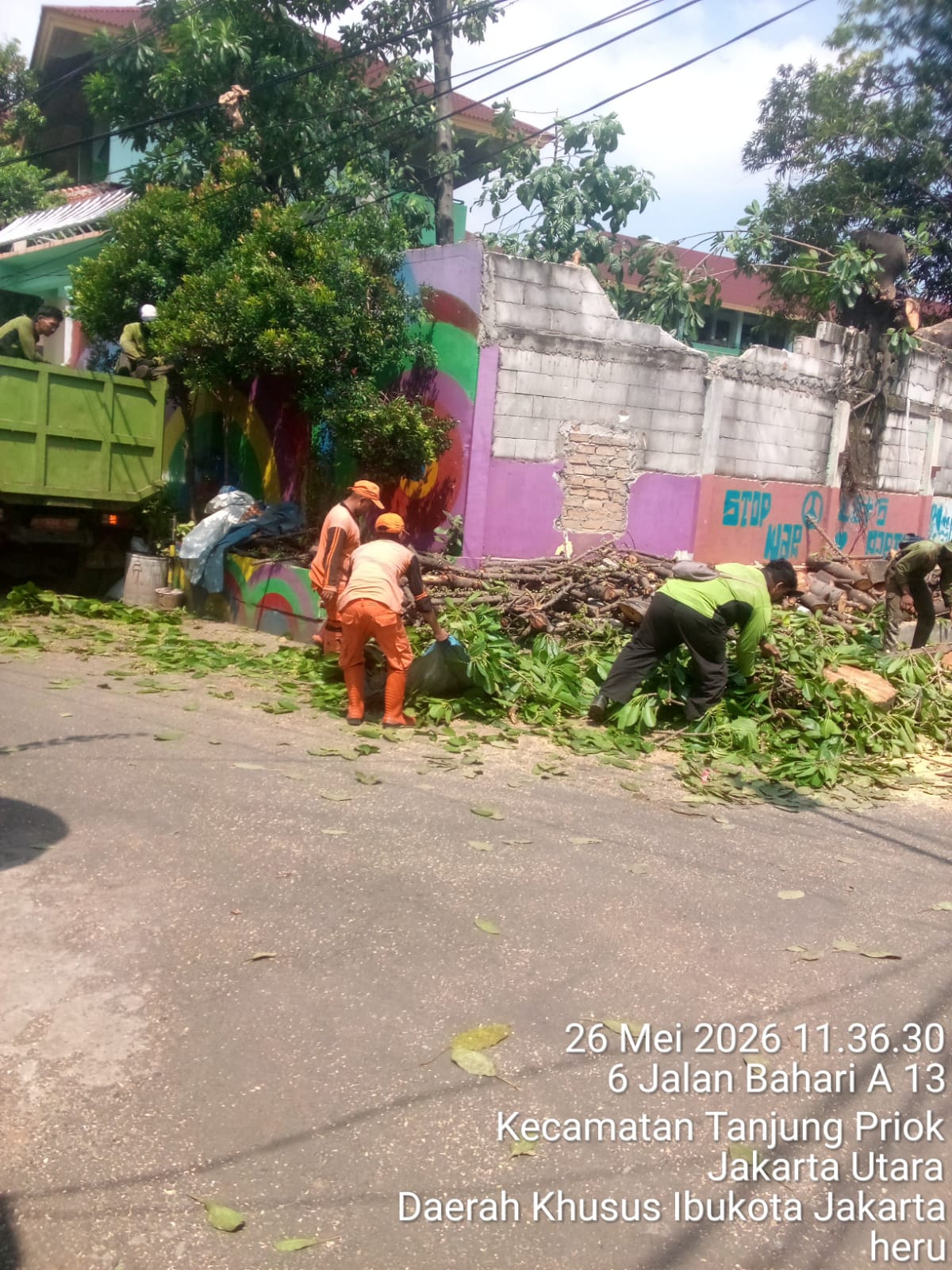 Lanjutan Penopingan Pohon di Lokasi Penataan Kawasan Triwulan II RW.06 Kelurahan Tanjung Priok 1