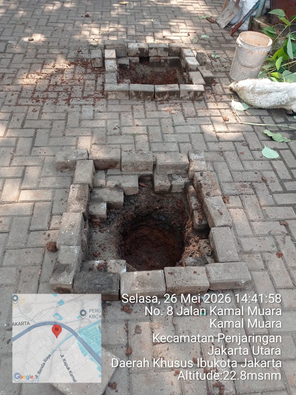 PPSU Kamal Muara Siapkan Area Penyembelihan Hewan Qurban, Wujudkan Lingkungan Tertata dan Siap Sambut Iduladha 4