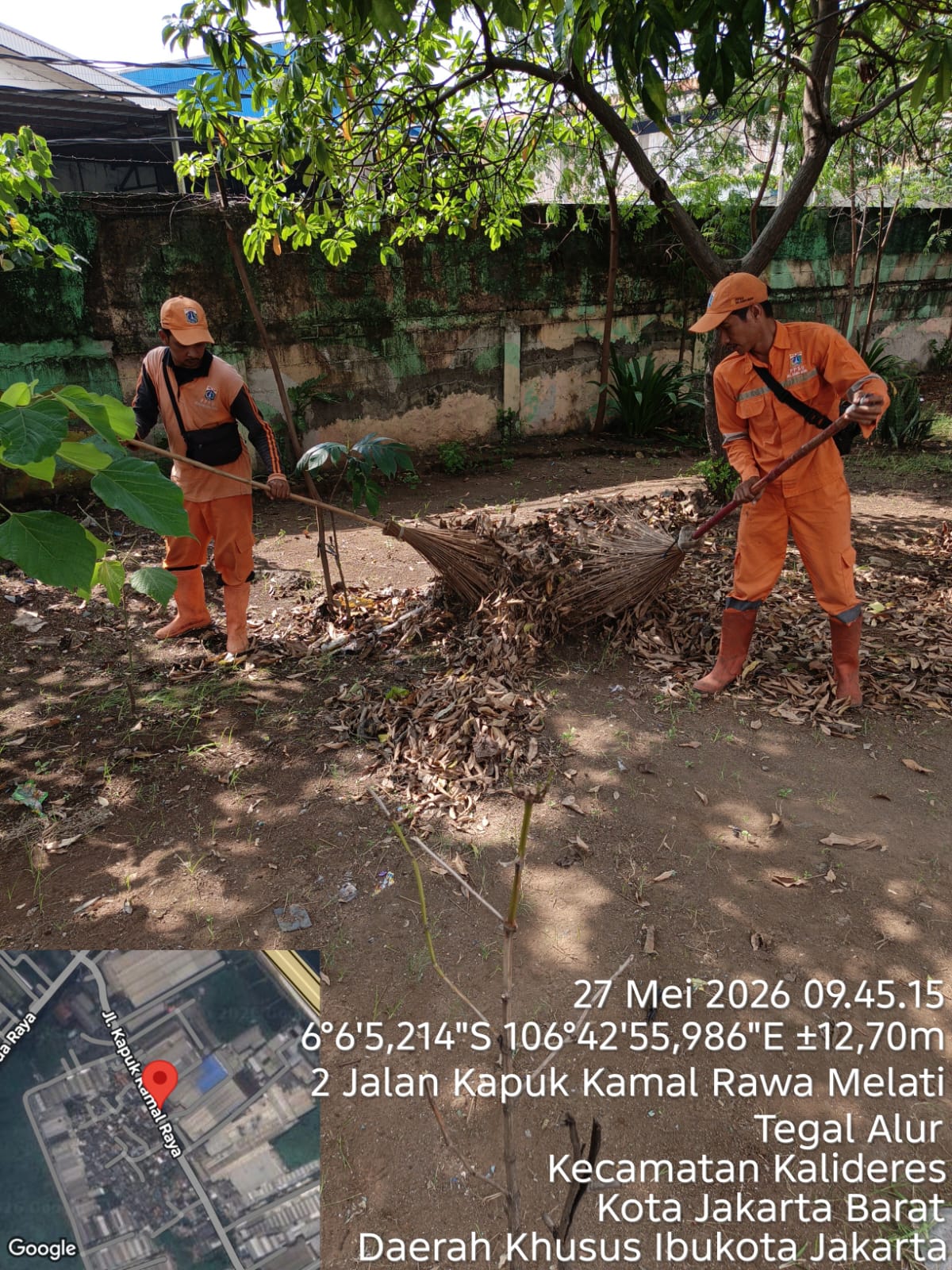 Respons Cepat PPSU Kamal Muara Tindaklanjuti Aduan Warga, Taman RW 01 Kembali Bersih dan Tertata 1