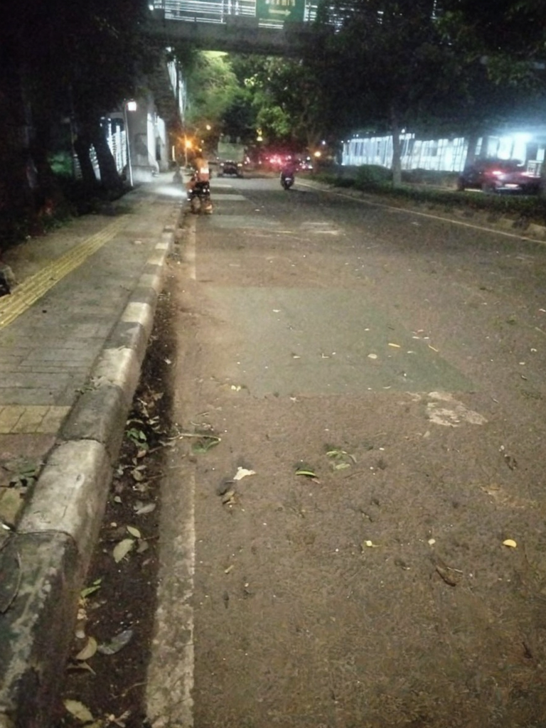 PPSU Kelapa Gading Timur Tangani Pohon Tumbang di Jalan Perintis Kemerdekaan RW 17 3