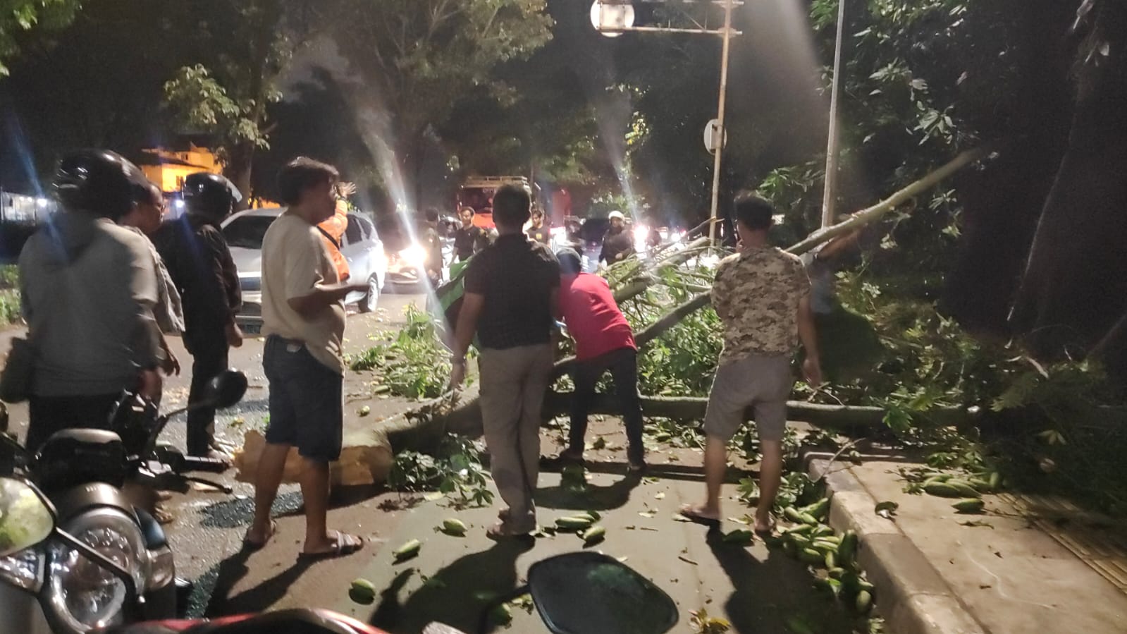 PPSU Kelapa Gading Timur Tangani Pohon Tumbang di Jalan Perintis Kemerdekaan RW 17 1