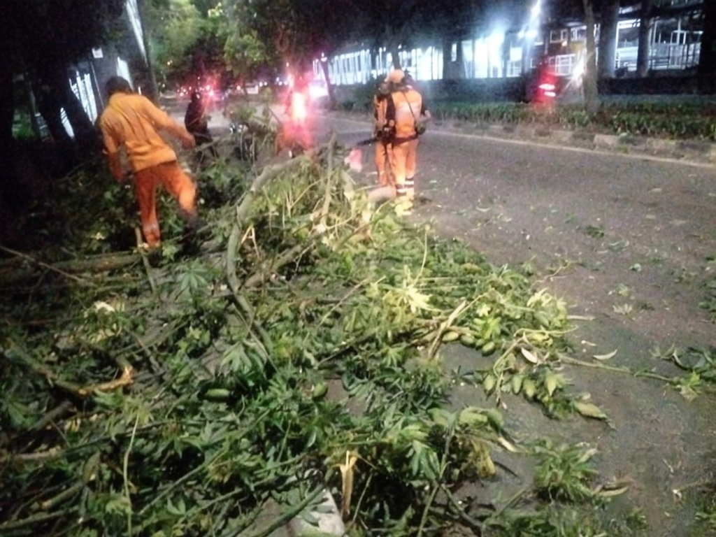 PPSU Kelapa Gading Timur Tangani Pohon Tumbang di Jalan Perintis Kemerdekaan RW 17 2
