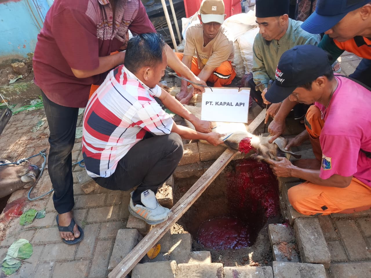 Pemotongan Hewan Kurban di Kelurahan Kamal Muara Perkuat Kepedulian Sosial dan Semangat Kebersamaan 1