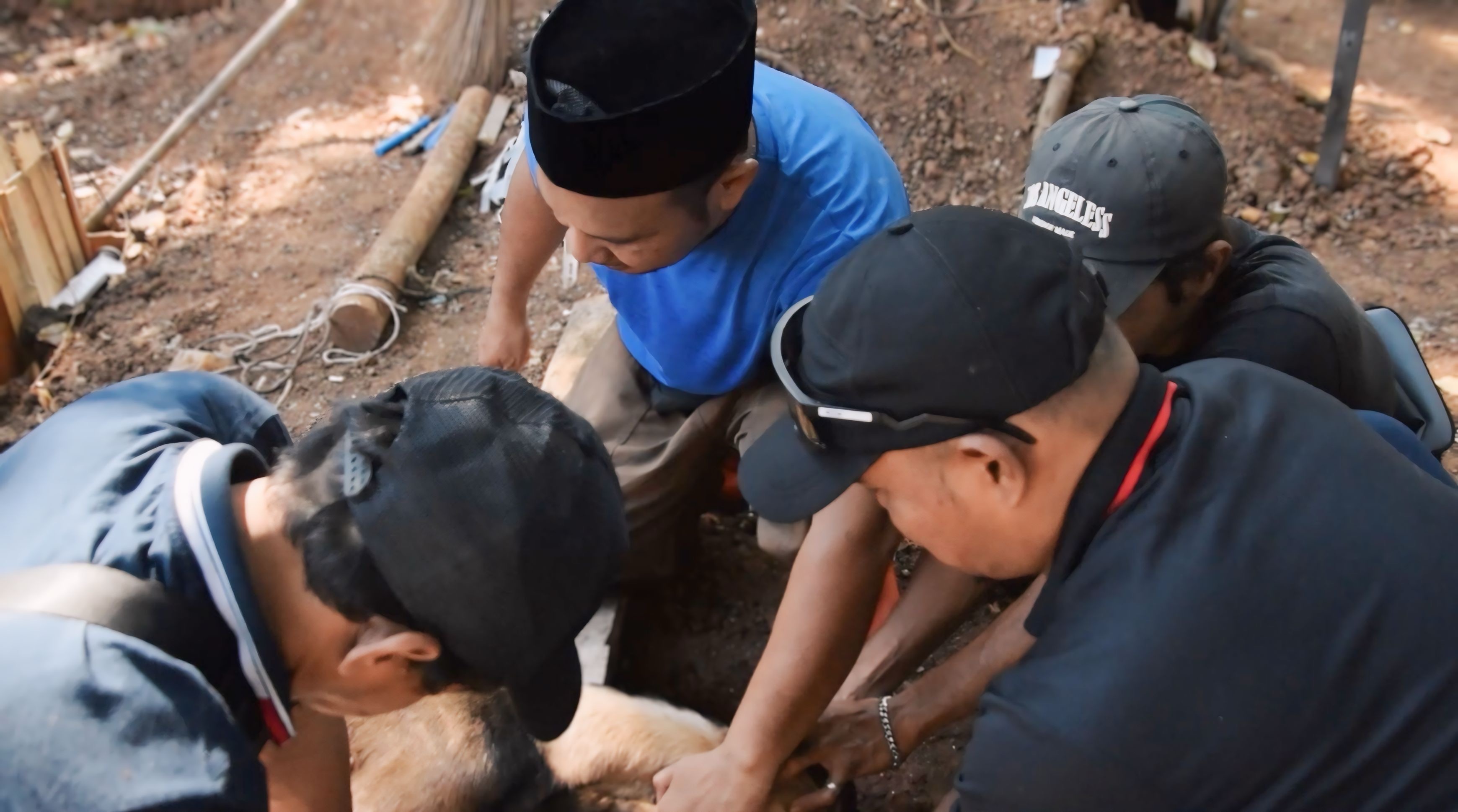 Penyembelihan Hewan Kurban di Kelurahan Pejagalan Berlangsung Lancar dan Penuh Kebersamaan 1
