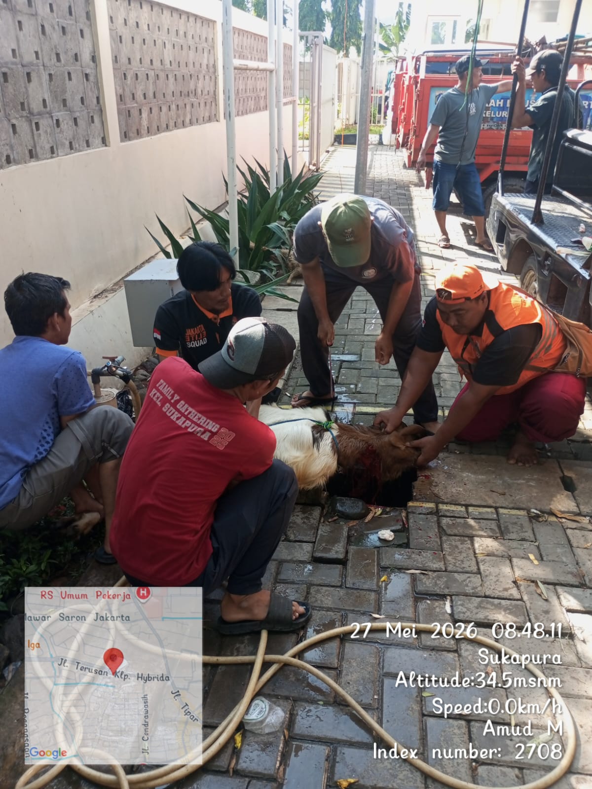 Sinergi Petugas Kelurahan Sukapura Sukseskan Pelaksanaan Pemotongan Hewan Kurban 1