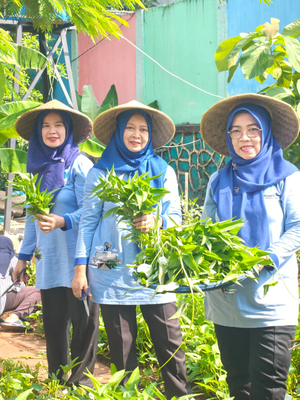 Panen Kangkung Pertanian Perkotaan RW 05, Wujud Ketahanan Pangan dan Penghijauan Lingkungan 4