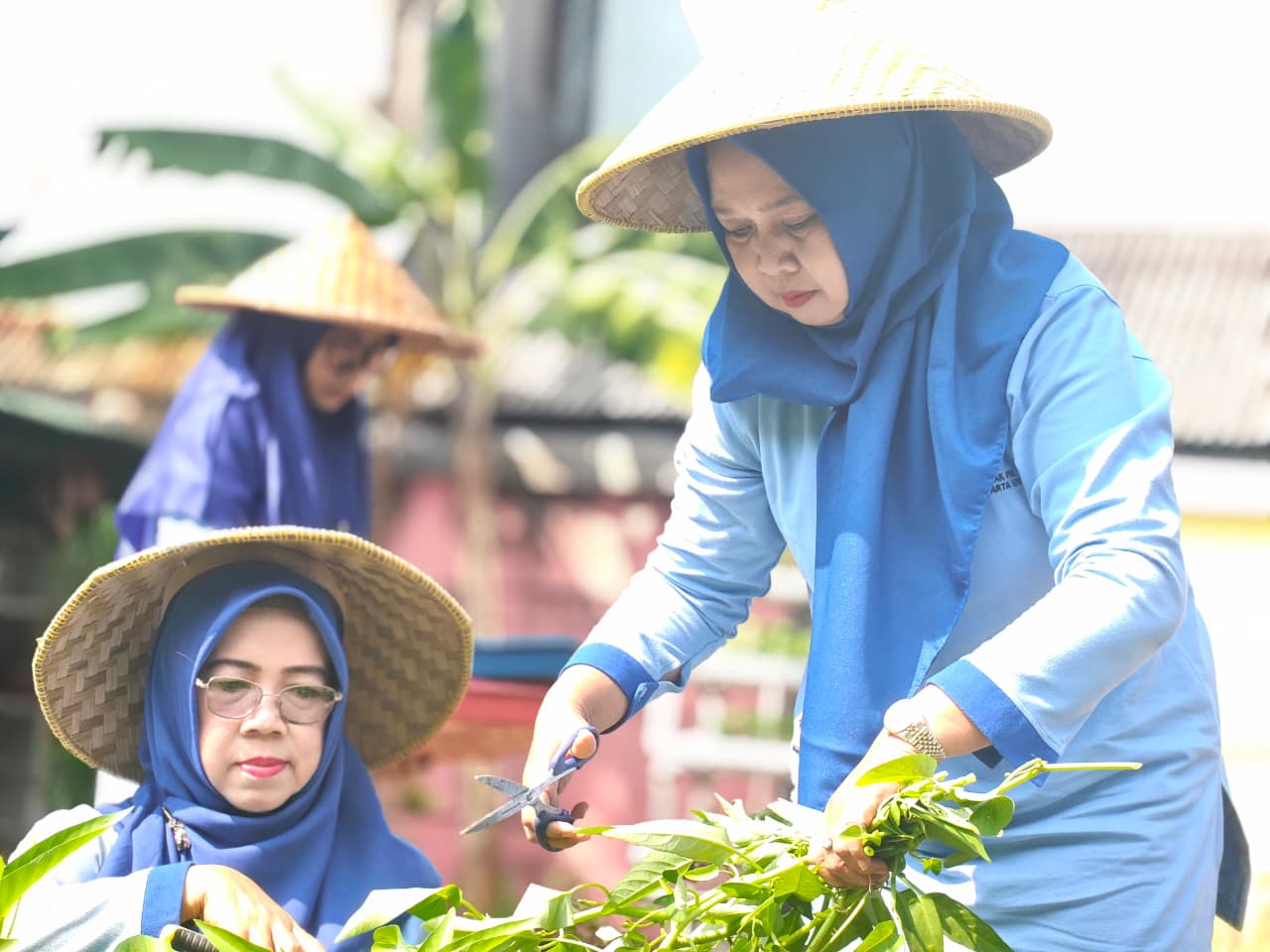 Panen Kangkung Pertanian Perkotaan RW 05, Wujud Ketahanan Pangan dan Penghijauan Lingkungan 1