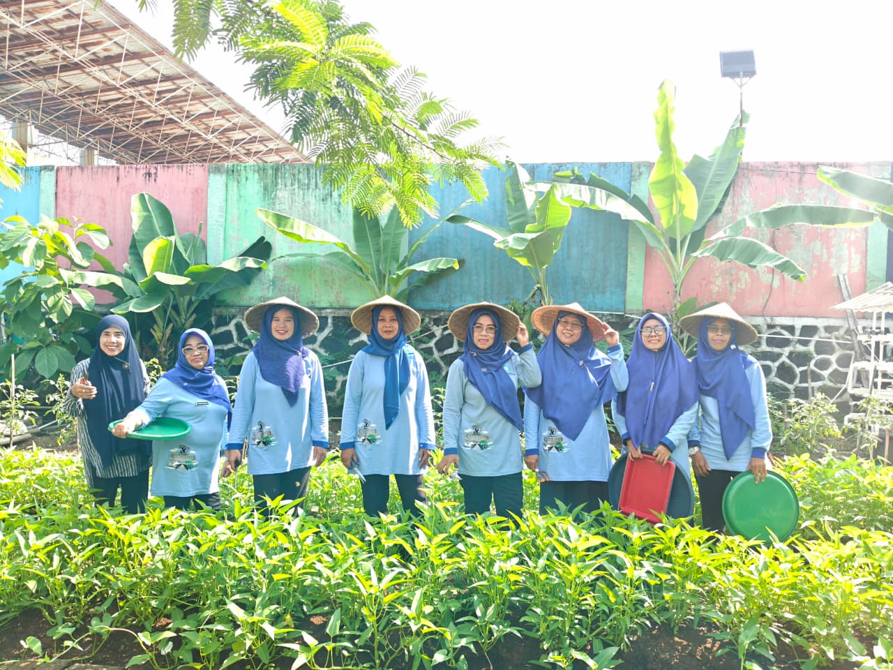 Panen Kangkung Pertanian Perkotaan RW 05, Wujud Ketahanan Pangan dan Penghijauan Lingkungan 6