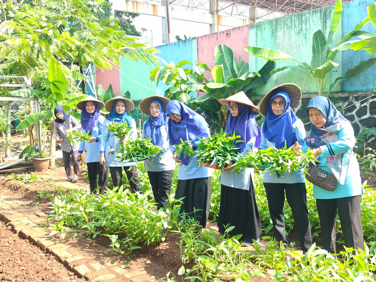 Panen Kangkung Pertanian Perkotaan RW 05, Wujud Ketahanan Pangan dan Penghijauan Lingkungan 3